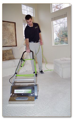 Organic Steamer: Home & Business Carpet Cleaners